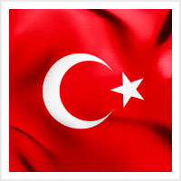 svg image