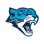 svg image