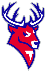 svg image