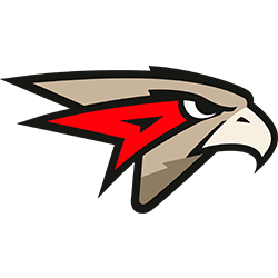 svg image