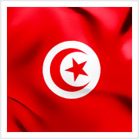 svg image