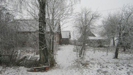 Деревня Любаничи